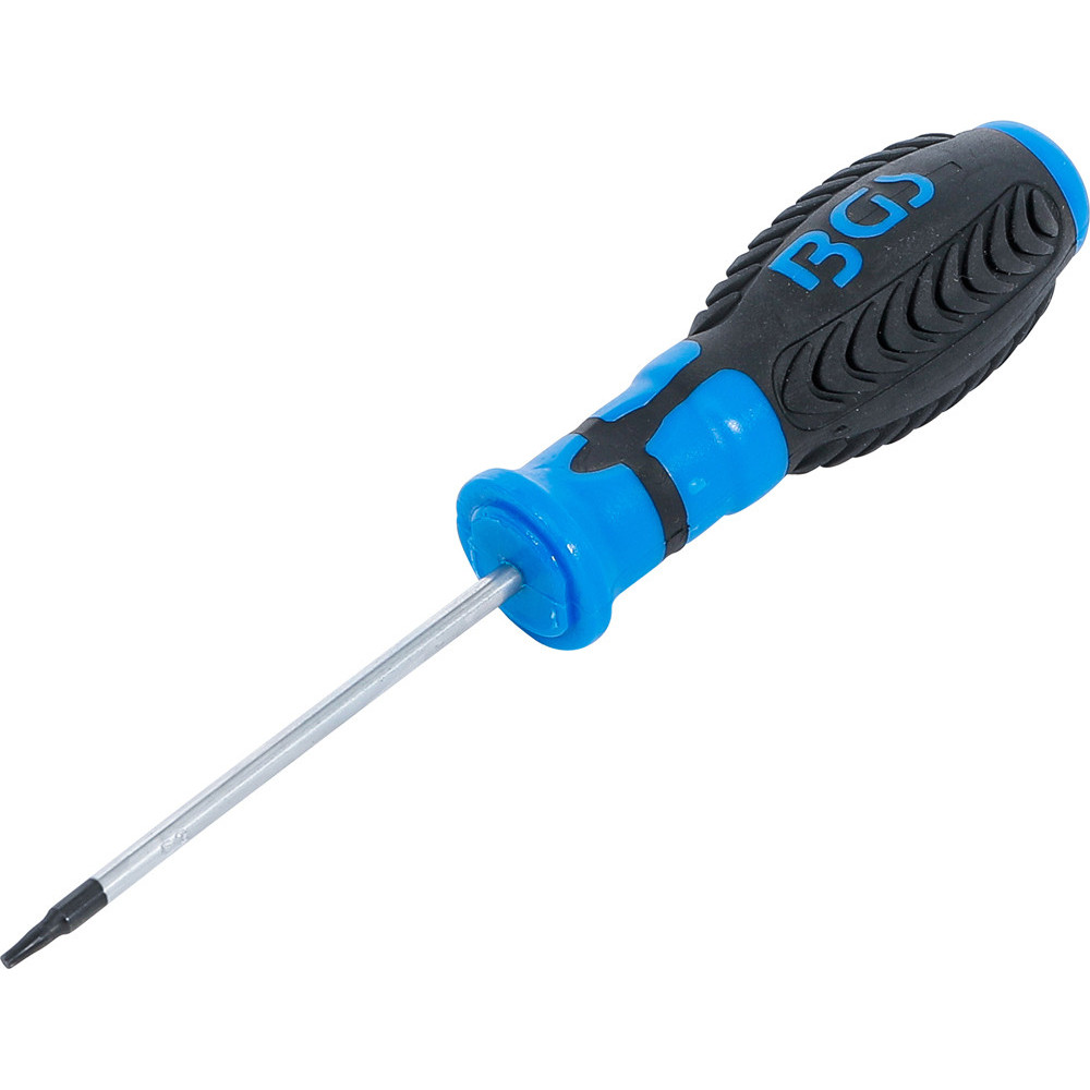 Tournevis - profil T (pour Torx) T6 - longueur de la lame 80 mm