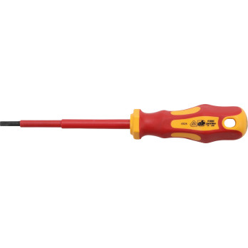 Tournevis - profil T (pour Torx) T27 - longueur de la lame 100 mm