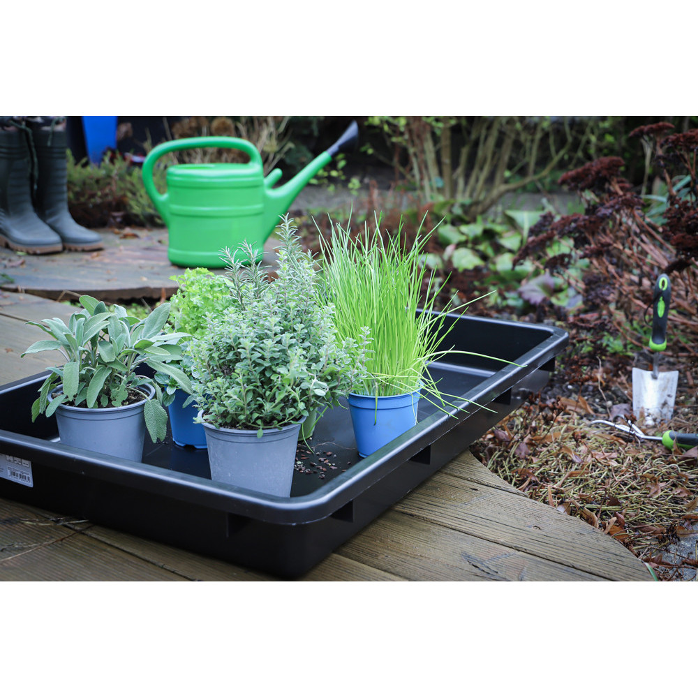 LILY COOK, KP0056, Dénoyauteur Ergonomique Pour Cerises | FindTheDeal