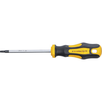 Tournevis - profil en T (pour Torx) T20 - longueur de la lame 100 mm