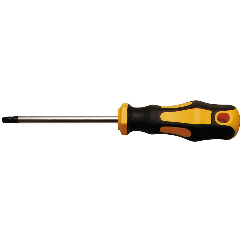 Tournevis - profil en T (pour Torx) T25 - longueur de la lame 100 mm