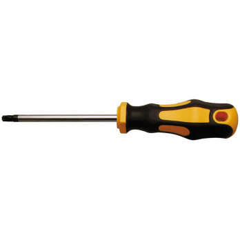 Tournevis - profil en T (pour Torx) T25 - longueur de la lame 100 mm