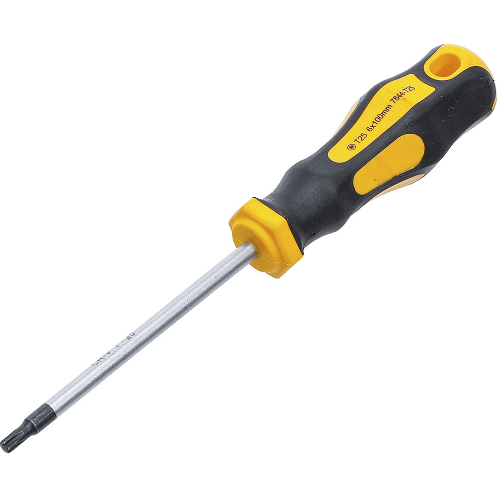 Tournevis - profil en T (pour Torx) T25 - longueur de la lame 100 mm