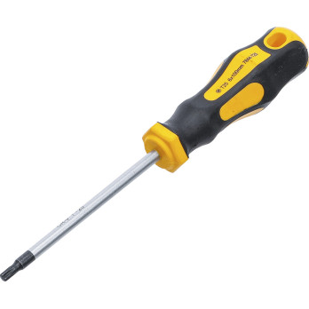 Tournevis - profil en T (pour Torx) T25 - longueur de la lame 100 mm