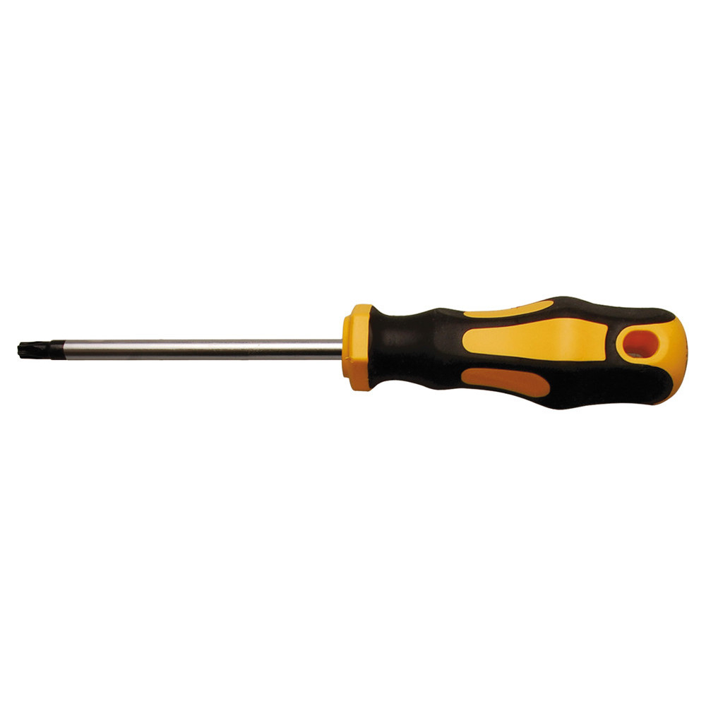 Tournevis - profil en T (pour Torx) T27 - longueur de la lame 100 mm