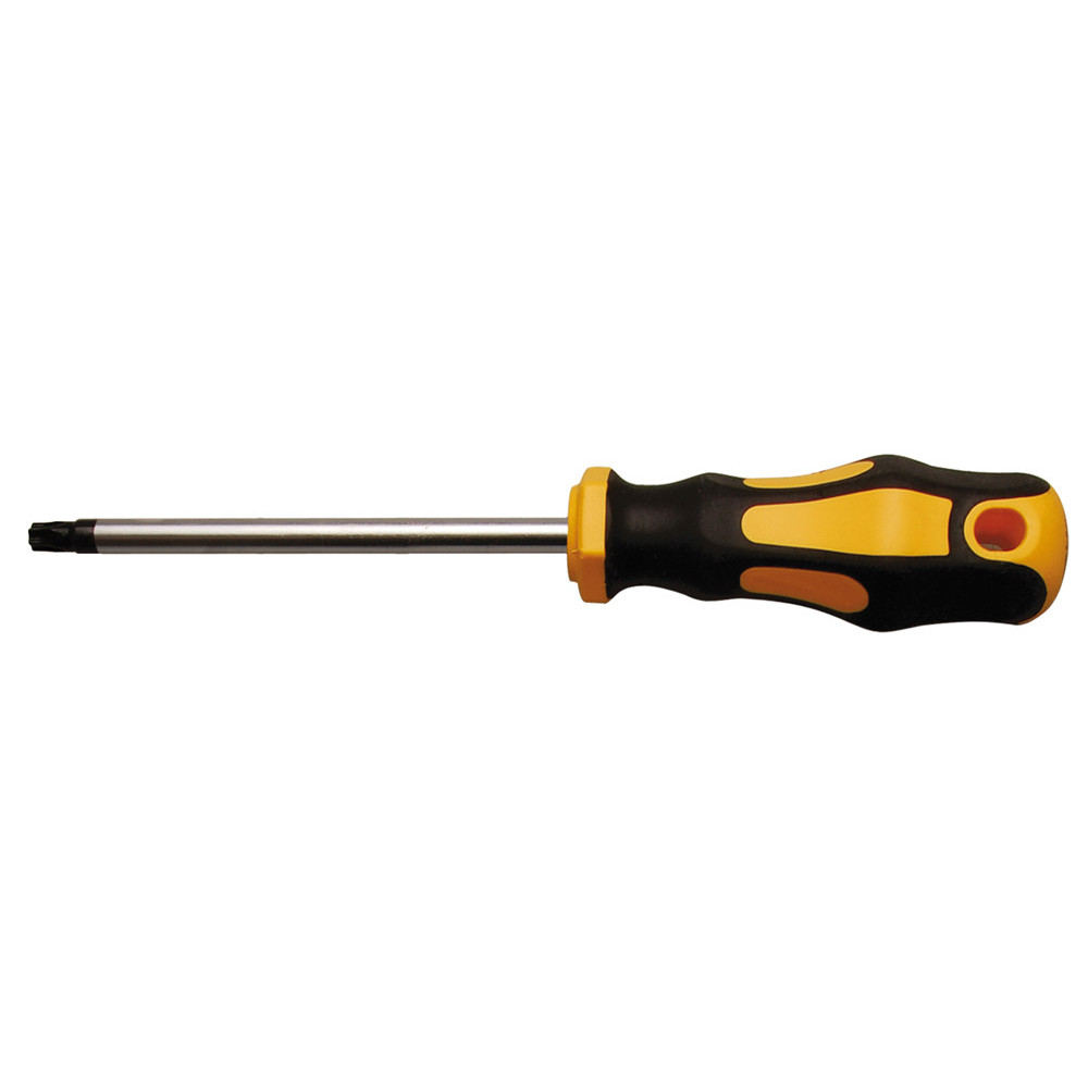 Tournevis - profil en T (pour Torx) T30 - longueur de la lame 100 mm