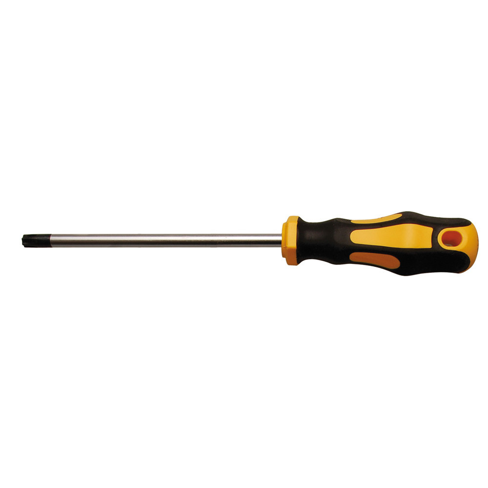 Tournevis - profil en T (pour Torx) T40 - longueur de la lame 125 mm